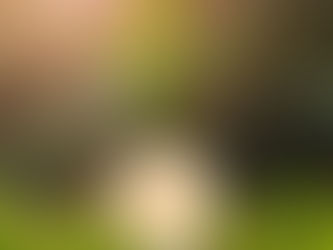 NeighbourGood’s Regenerative Vision for a Flourishing Future