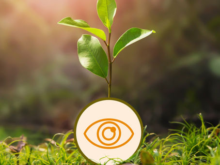 NeighbourGood’s Regenerative Vision for a Flourishing Future