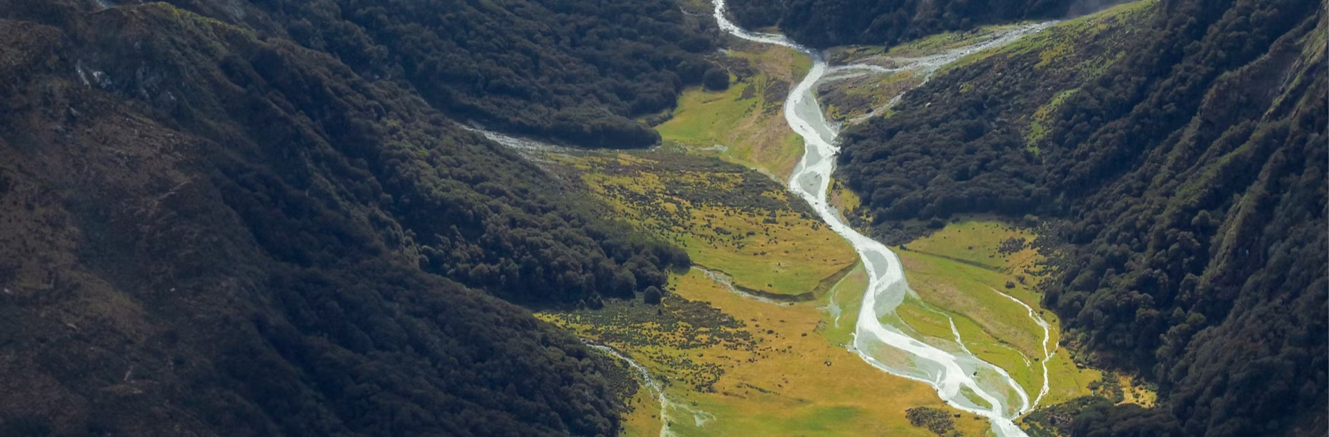 Conscious Businesses